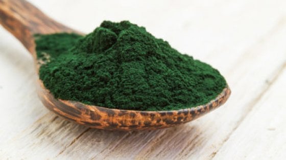 Spirulina - what is it?